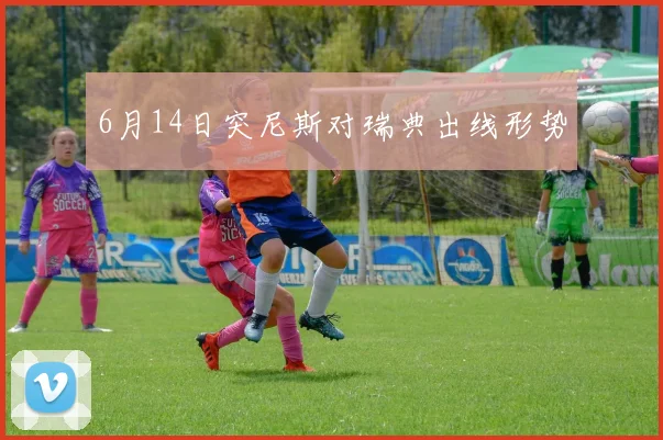 6月14日突尼斯对瑞典出线形势