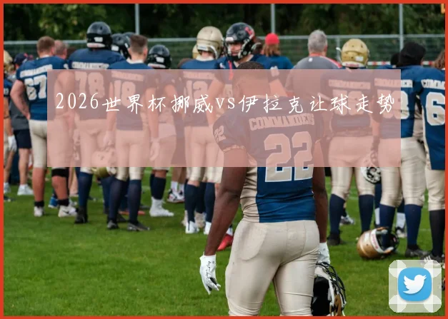 2026世界杯挪威vs伊拉克让球走势