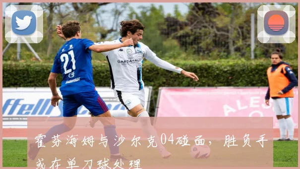 霍芬海姆与沙尔克04碰面,胜负手或在单刀球处理